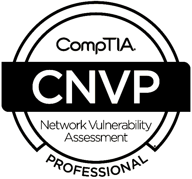 Network Vulnerability Assessment Professional